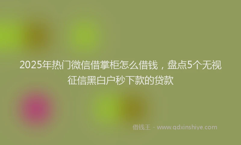 2025年热门微信借掌柜怎么借钱，盘点5个无视征信黑白户秒下款的贷款