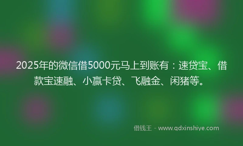 2025年的微信借5000元马上到账有:速贷宝、借款宝速融、小赢卡贷、飞融金、闲猪等。