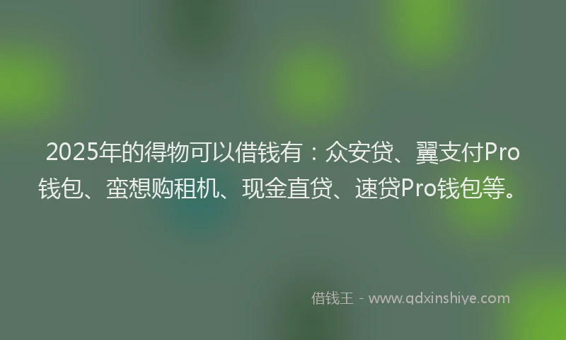2025年的得物可以借钱有：众安贷、翼支付Pro钱包、蛮想购租机、现金直贷、速贷Pro钱包等。