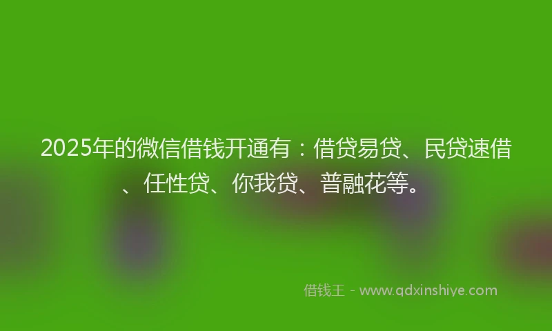 2025年的微信借钱开通有:借贷易贷、民贷速借、任性贷、你我贷、普融花等。
