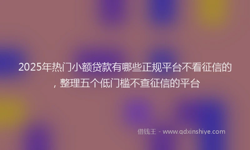 2025年热门小额贷款有哪些正规平台不看征信的，整理五个低门槛不查征信的平台