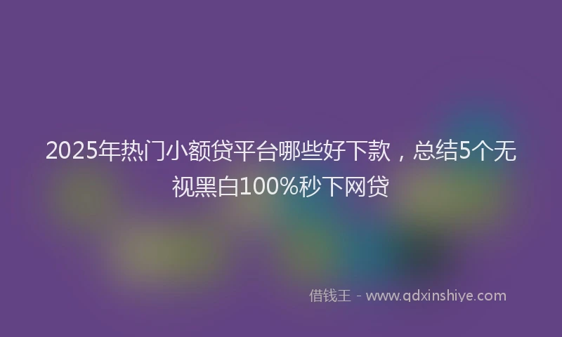 2025年热门小额贷平台哪些好下款，总结5个无视黑白100%秒下网贷