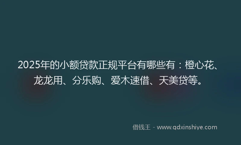 2025年的小额贷款正规平台有哪些有：橙心花、龙龙用、分乐购、爱木速借、天美贷等。