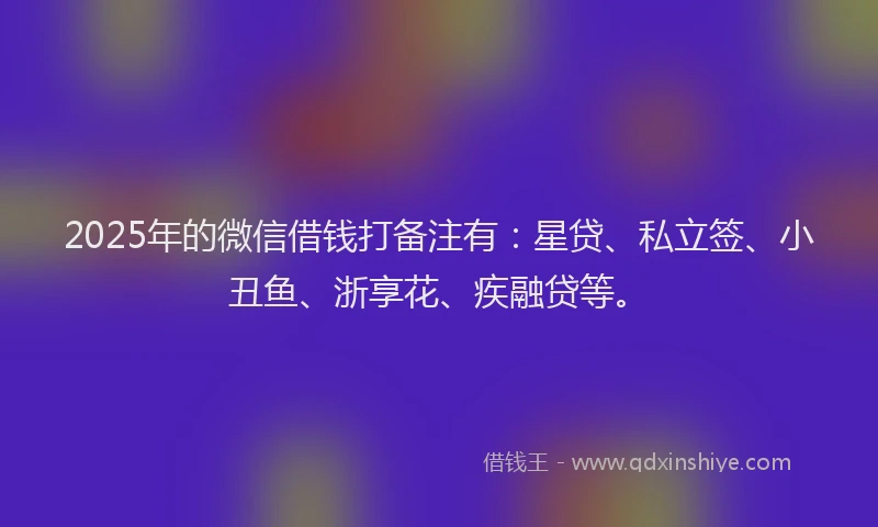 2025年的微信借钱打备注有：星贷、私立签、小丑鱼、浙享花、疾融贷等。