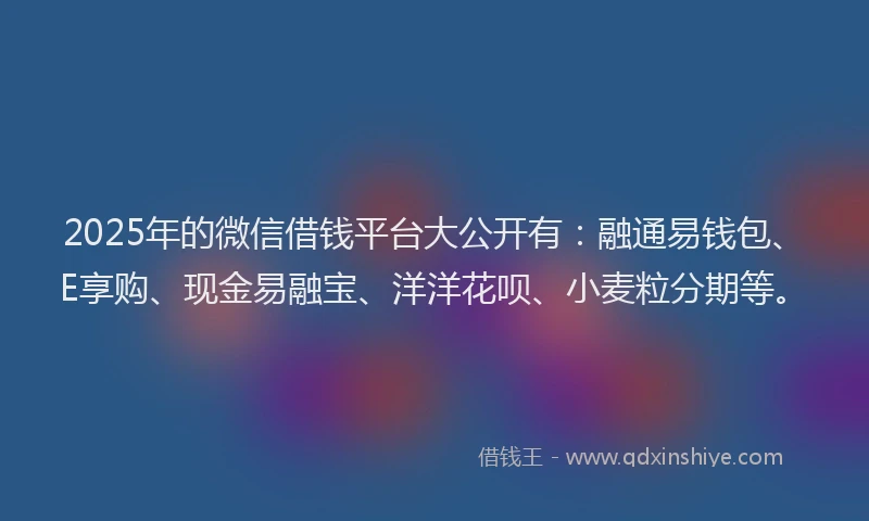 2025年的微信借钱平台大公开有：融通易钱包、E享购、现金易融宝、洋洋花呗、小麦粒分期等。