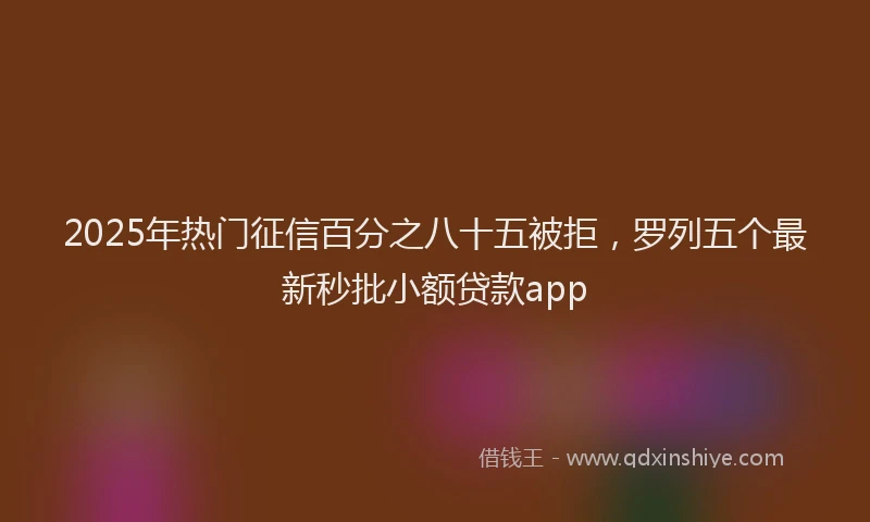 2025年热门征信百分之八十五被拒，罗列五个最新秒批小额贷款app