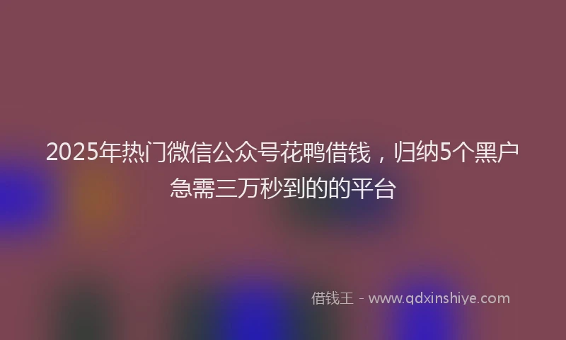 2025年热门微信公众号花鸭借钱，归纳5个黑户急需三万秒到的的平台