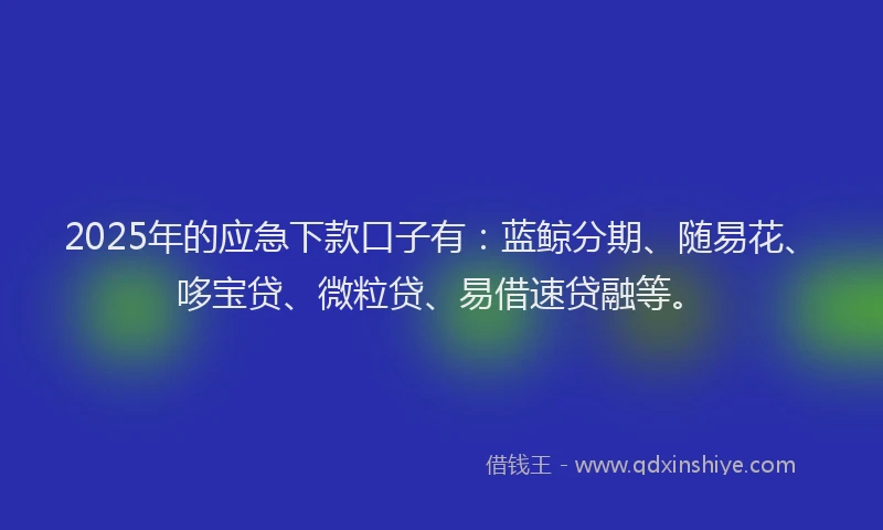 2025年的应急下款口子有：蓝鲸分期、随易花、哆宝贷、微粒贷、易借速贷融等。