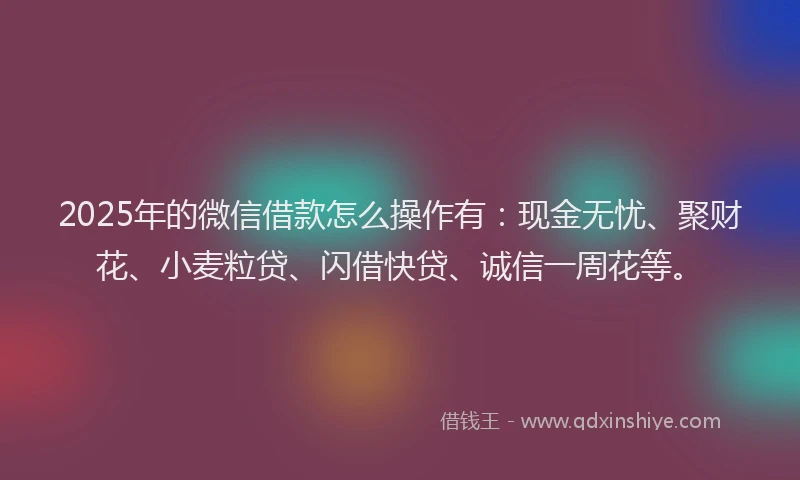 2025年的微信借款怎么操作有：现金无忧、聚财花、小麦粒贷、闪借快贷、诚信一周花等。