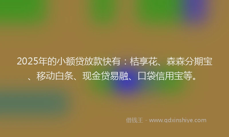 2025年的小额贷放款快有：桔享花、森森分期宝、移动白条、现金贷易融、口袋信用宝等。