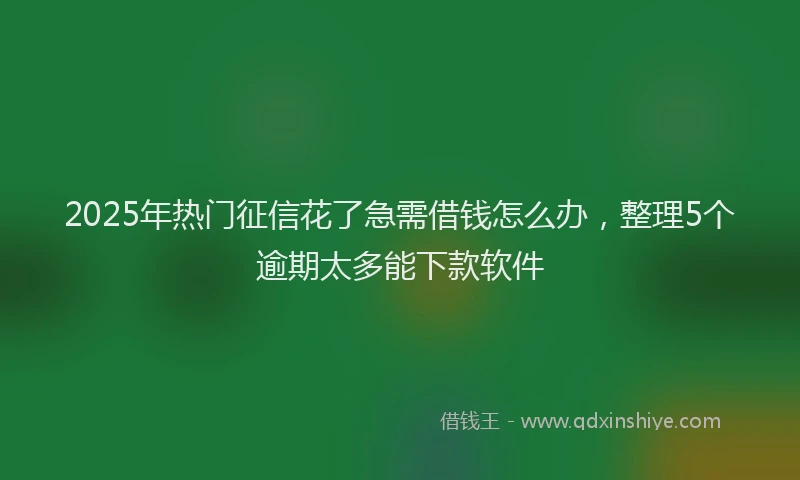 2025年热门征信花了急需借钱怎么办，整理5个逾期太多能下款软件