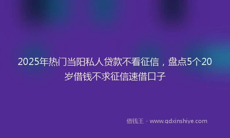 2025年热门当阳私人贷款不看征信，盘点5个20岁借钱不求征信速借口子