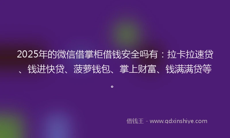 2025年的微信借掌柜借钱安全吗有：拉卡拉速贷、钱进快贷、菠萝钱包、掌上财富、钱满满贷等。