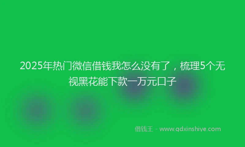 2025年热门微信借钱我怎么没有了，梳理5个无视黑花能下款一万元口子