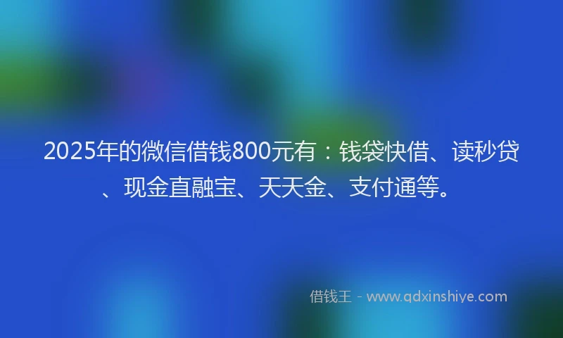 2025年的微信借钱800元有:钱袋快借、读秒贷、现金直融宝、天天金、支付通等。