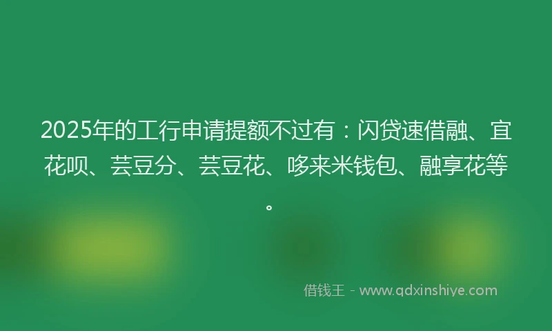 2025年的工行申请提额不过有：闪贷速借融、宜花呗、芸豆分、芸豆花、哆来米钱包、融享花等。