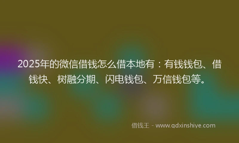2025年的微信借钱怎么借本地有：有钱钱包、借钱快、树融分期、闪电钱包、万信钱包等。