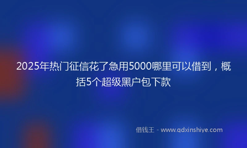 2025年热门征信花了急用5000哪里可以借到，概括5个超级黑户包下款