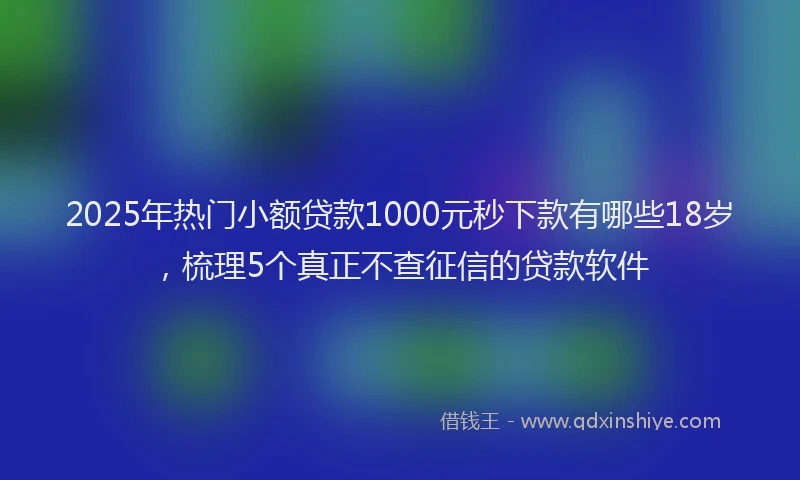 2025年热门小额贷款1000元秒下款有哪些18岁，梳理5个真正不查征信的贷款软件