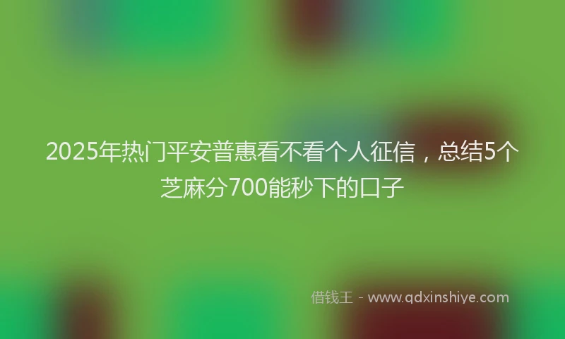 2025年热门平安普惠看不看个人征信，总结5个芝麻分700能秒下的口子