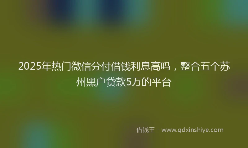 2025年热门微信分付借钱利息高吗，整合五个苏州黑户贷款5万的平台