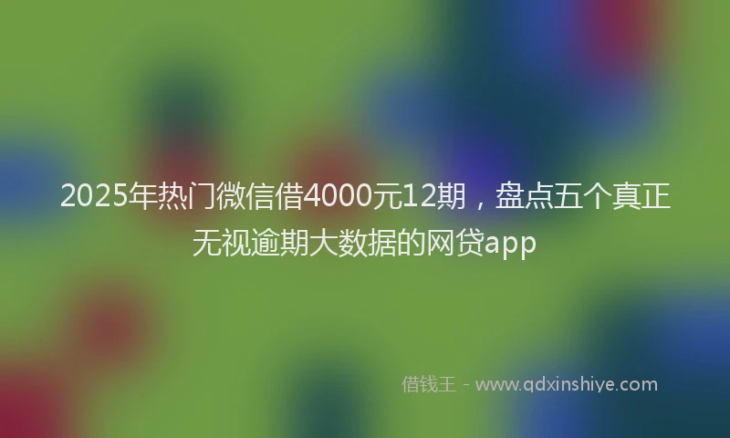 2025年热门微信借4000元12期，盘点五个真正无视逾期大数据的网贷app