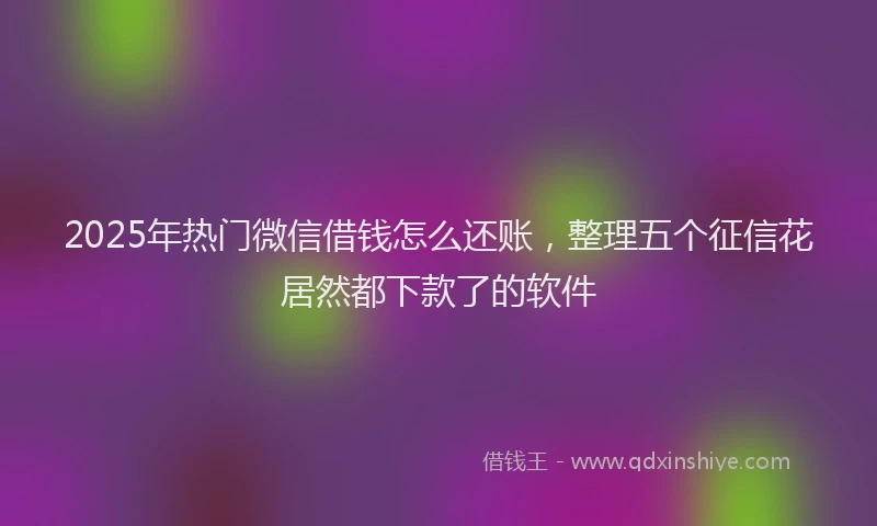 2025年热门微信借钱怎么还账，整理五个征信花居然都下款了的软件