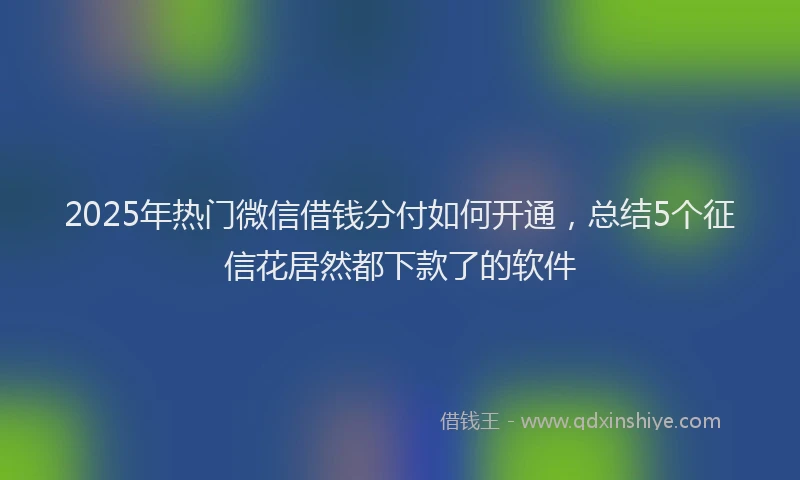 2025年热门微信借钱分付如何开通，总结5个征信花居然都下款了的软件