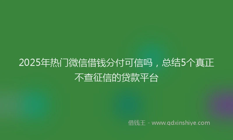 2025年热门微信借钱分付可信吗，总结5个真正不查征信的贷款平台