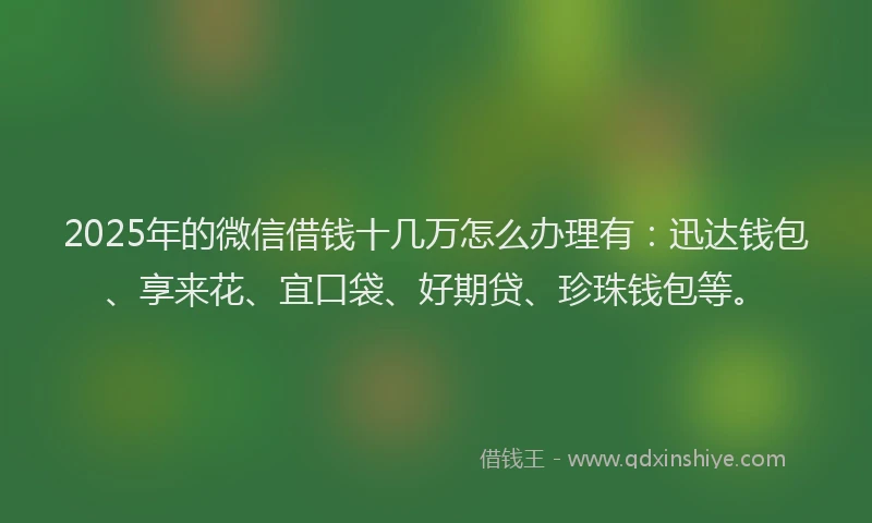 2025年的微信借钱十几万怎么办理有：迅达钱包、享来花、宜口袋、好期贷、珍珠钱包等。