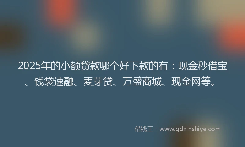 2025年的小额贷款哪个好下款的有:现金秒借宝、钱袋速融、麦芽贷、万盛商城、现金网等。