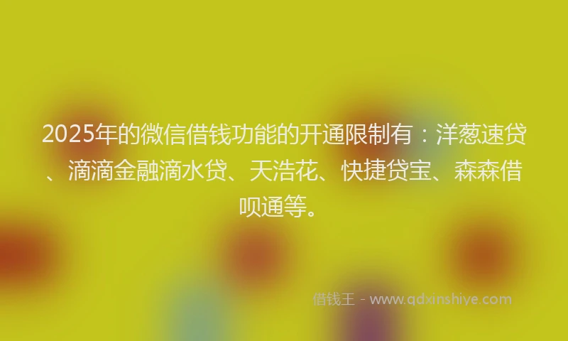 2025年的微信借钱功能的开通限制有：洋葱速贷、滴滴金融滴水贷、天浩花、快捷贷宝、森森借呗通等。