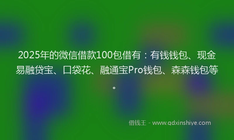 2025年的微信借款100包借有：有钱钱包、现金易融贷宝、口袋花、融通宝Pro钱包、森森钱包等。
