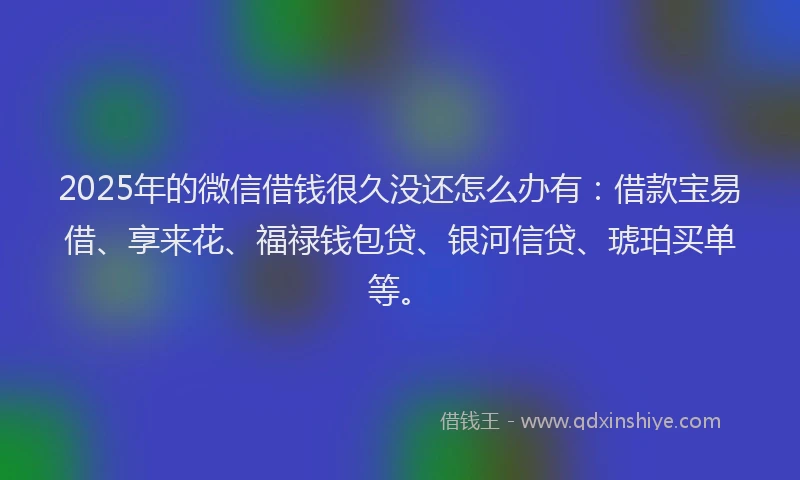 2025年的微信借钱很久没还怎么办有：借款宝易借、享来花、福禄钱包贷、银河信贷、琥珀买单等。