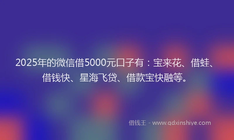 2025年的微信借5000元口子有:宝来花、借蛙、借钱快、星海飞贷、借款宝快融等。