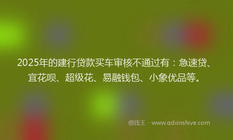 2025年的建行贷款买车审核不通过有：急速贷、宜花呗、超级花、易融钱包、小象优品等。