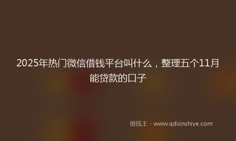2025年热门微信借钱平台叫什么，整理五个11月能贷款的口子