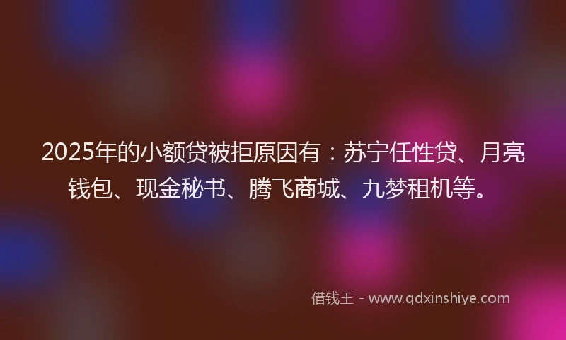 2025年的小额贷被拒原因有：苏宁任性贷、月亮钱包、现金秘书、腾飞商城、九梦租机等。