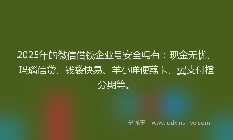 2025年的微信借钱企业号安全吗有：现金无忧、玛瑙信贷、钱袋快易、羊小咩便荔卡、翼支付橙分期等。