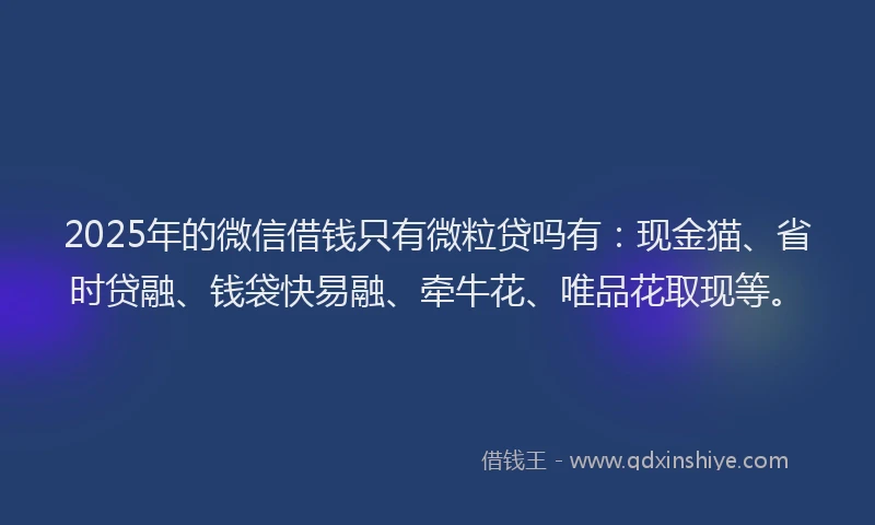 2025年的微信借钱只有微粒贷吗有：现金猫、省时贷融、钱袋快易融、牵牛花、唯品花取现等。