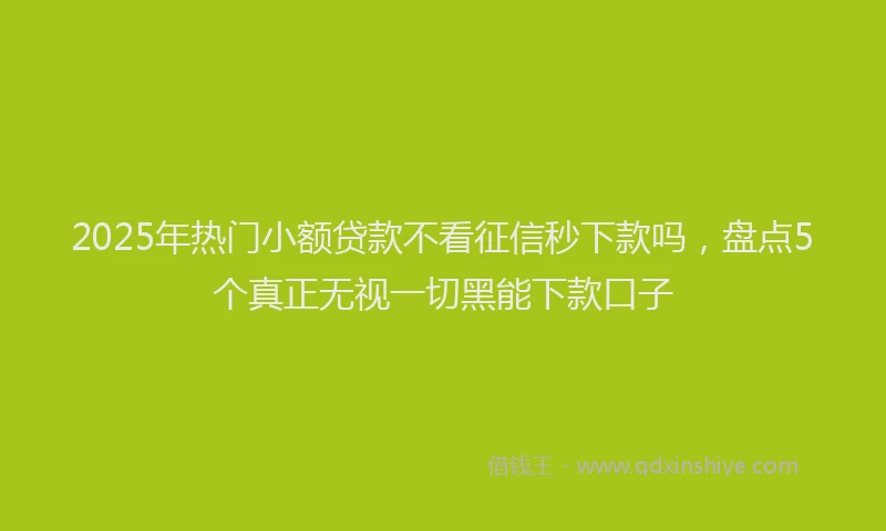 2025年热门小额贷款不看征信秒下款吗，盘点5个真正无视一切黑能下款口子