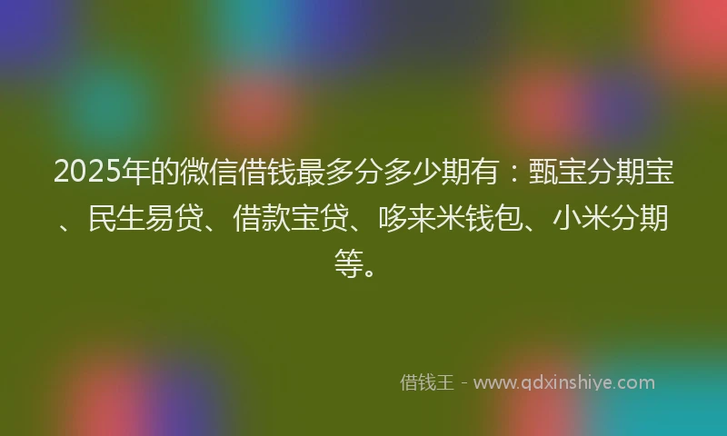 2025年的微信借钱最多分多少期有：甄宝分期宝、民生易贷、借款宝贷、哆来米钱包、小米分期等。