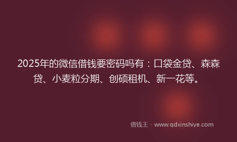 2025年的微信借钱要密码吗有：口袋金贷、森森贷、小麦粒分期、创硕租机、新一花等。
