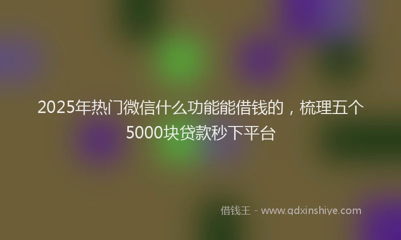 2025年热门微信什么功能能借钱的,梳理五个5000块贷款秒下平台