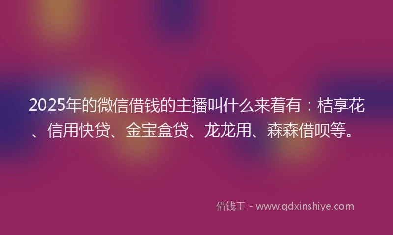 2025年的微信借钱的主播叫什么来着有:桔享花、信用快贷、金宝盒贷、龙龙用、森森借呗等。