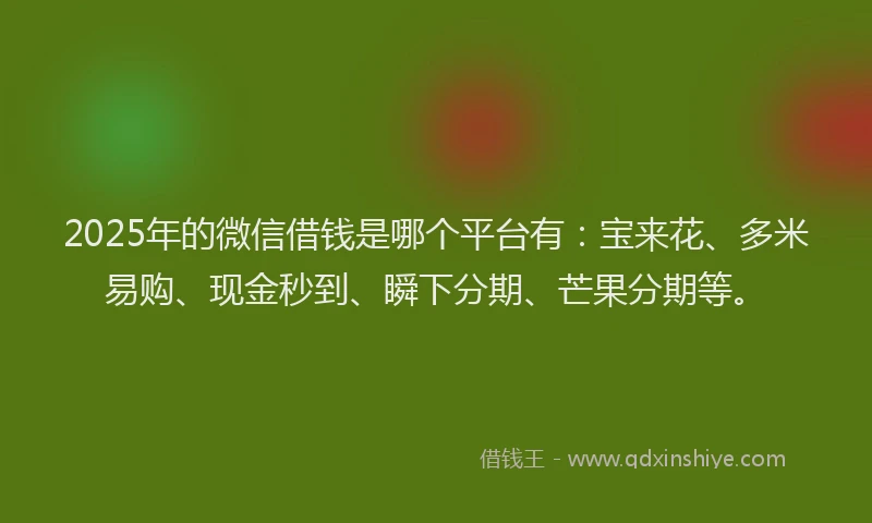 2025年的微信借钱是哪个平台有：宝来花、多米易购、现金秒到、瞬下分期、芒果分期等。