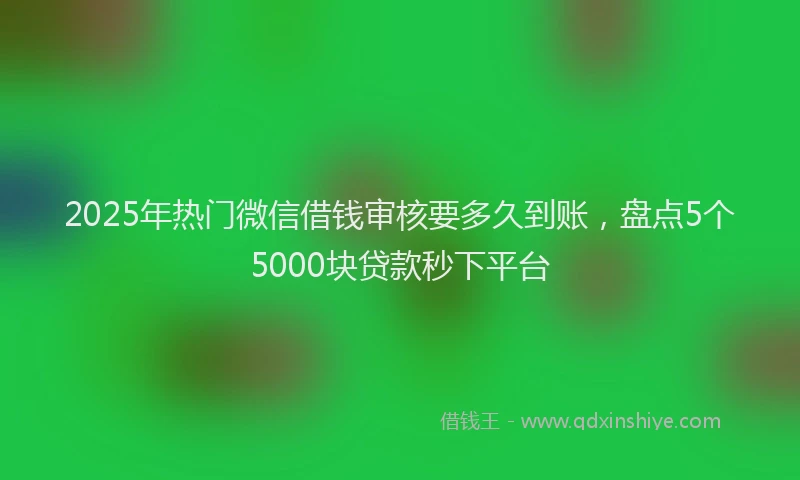 2025年热门微信借钱审核要多久到账,盘点5个5000块贷款秒下平台