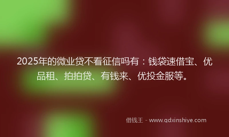 2025年的微业贷不看征信吗有：钱袋速借宝、优品租、拍拍贷、有钱来、优投金服等。