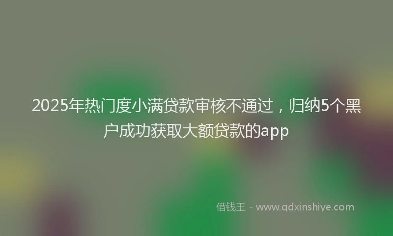 2025年热门度小满贷款审核不通过，归纳5个黑户成功获取大额贷款的app