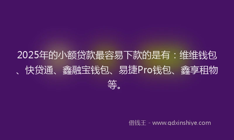 2025年的小额贷款最容易下款的是有：维维钱包、快贷通、鑫融宝钱包、易捷Pro钱包、鑫享租物等。